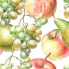 Watercolor Fruits